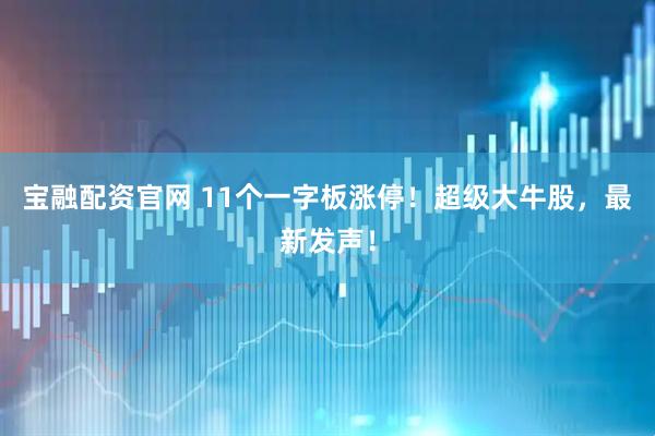 宝融配资官网 11个一字板涨停！超级大牛股，最新发声！