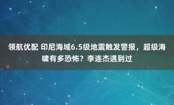 领航优配 印尼海域6.5级地震触发警报，超级海啸有多恐怖？李连杰遇到过